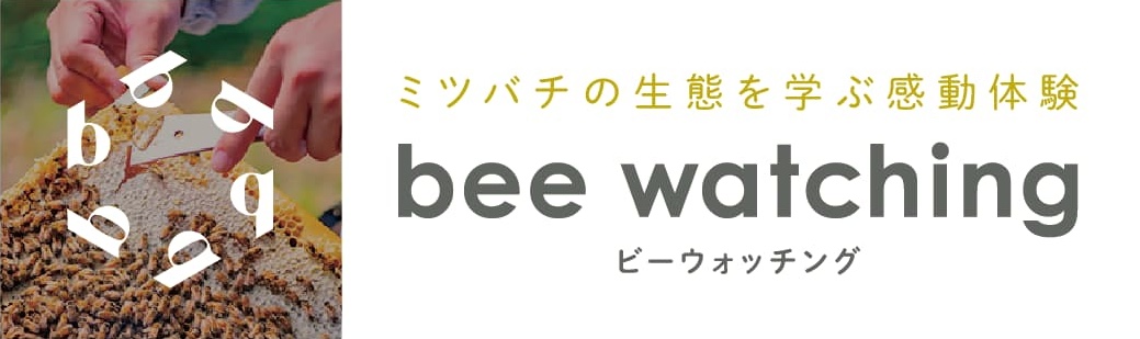 bee-watching